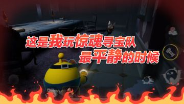 猫猫，这次你是真的有点坏了