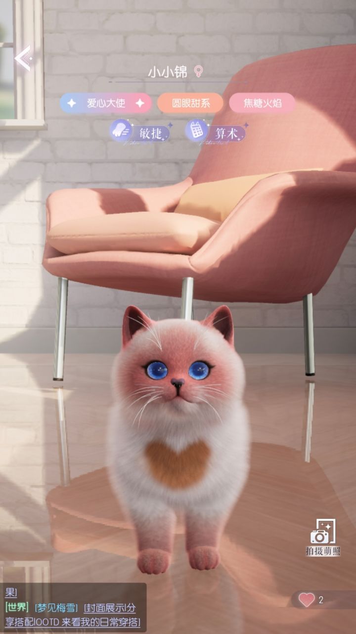 蹲个猫猫，现配截图