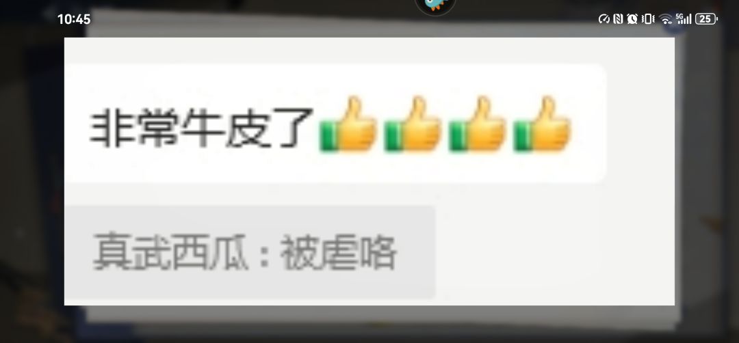 我们真武虽败犹荣!!!! 1