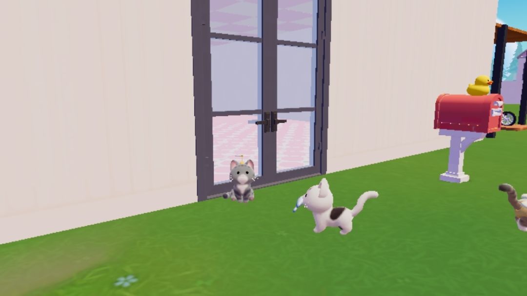 我可爱的小猫 1