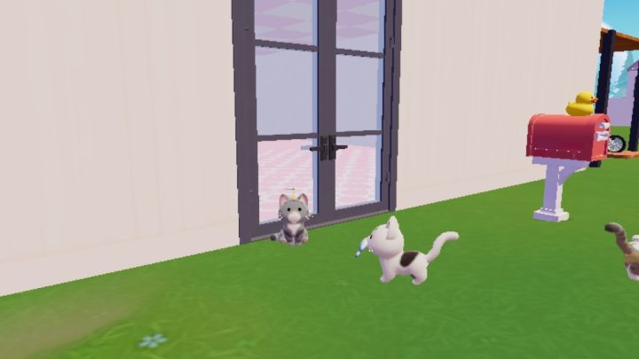 我可爱的小猫截图