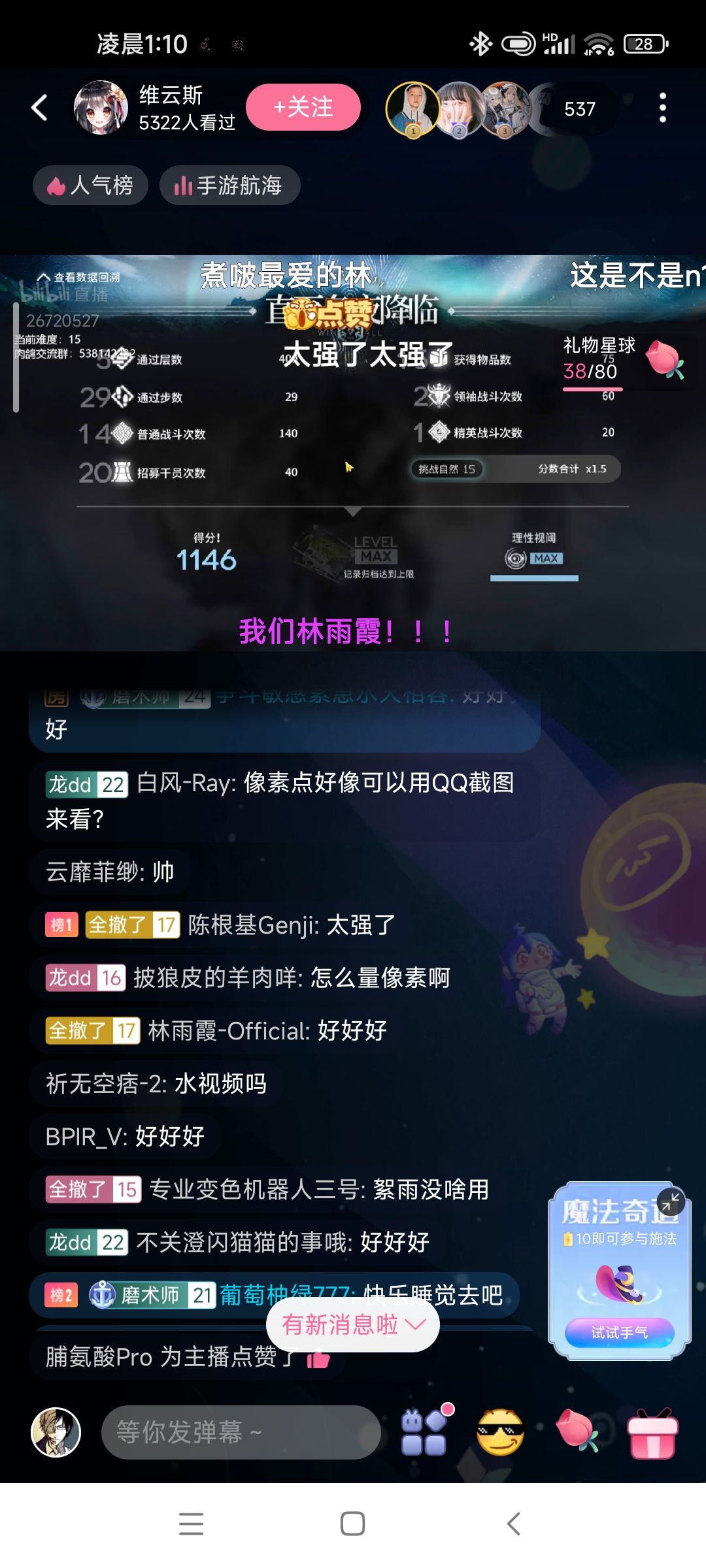 肉鸽 1
