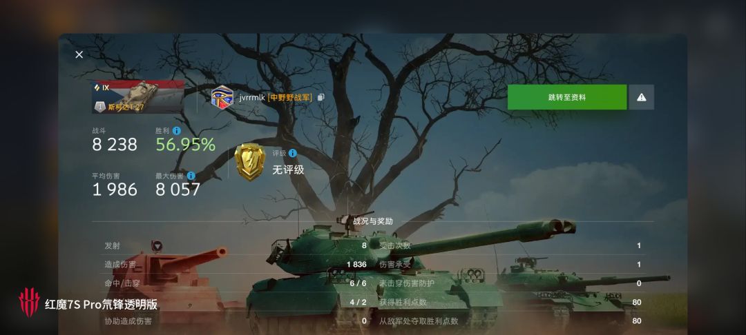 动态图片 12