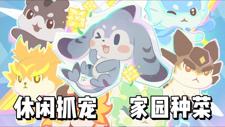 这是捉宠游戏?!宠物美术有特色!玩法休闲有趣味!截图