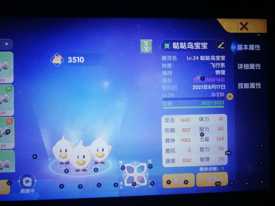 动态图片 1