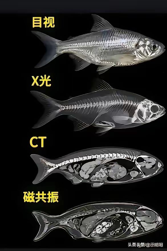 不懂就问,求大佬解惑 1