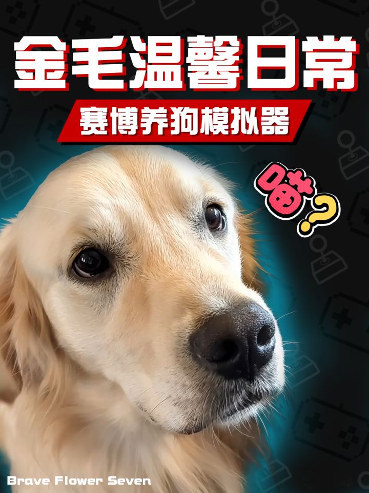 把狗狗做进互动影游🕹堪称养狗攻略指南~截图