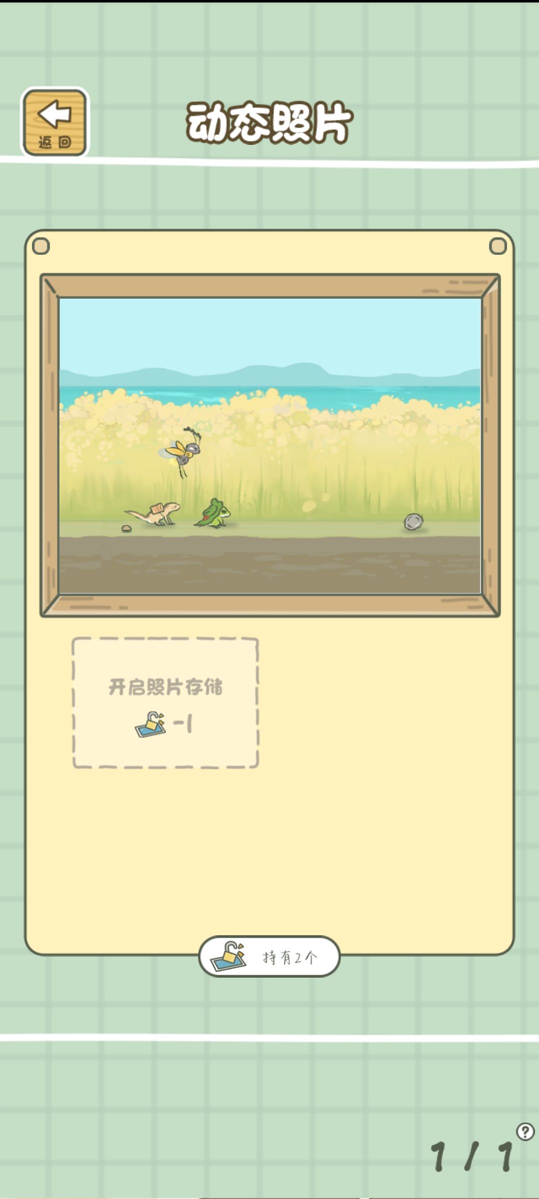 动态照片截图