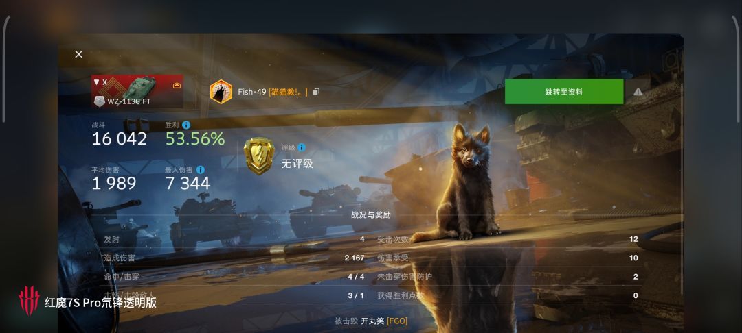 动态图片 16