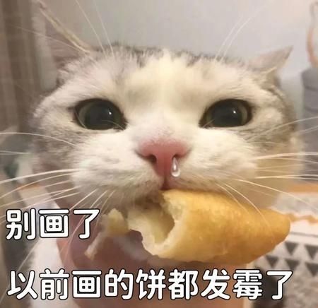我还以为能联机打怪呢 1