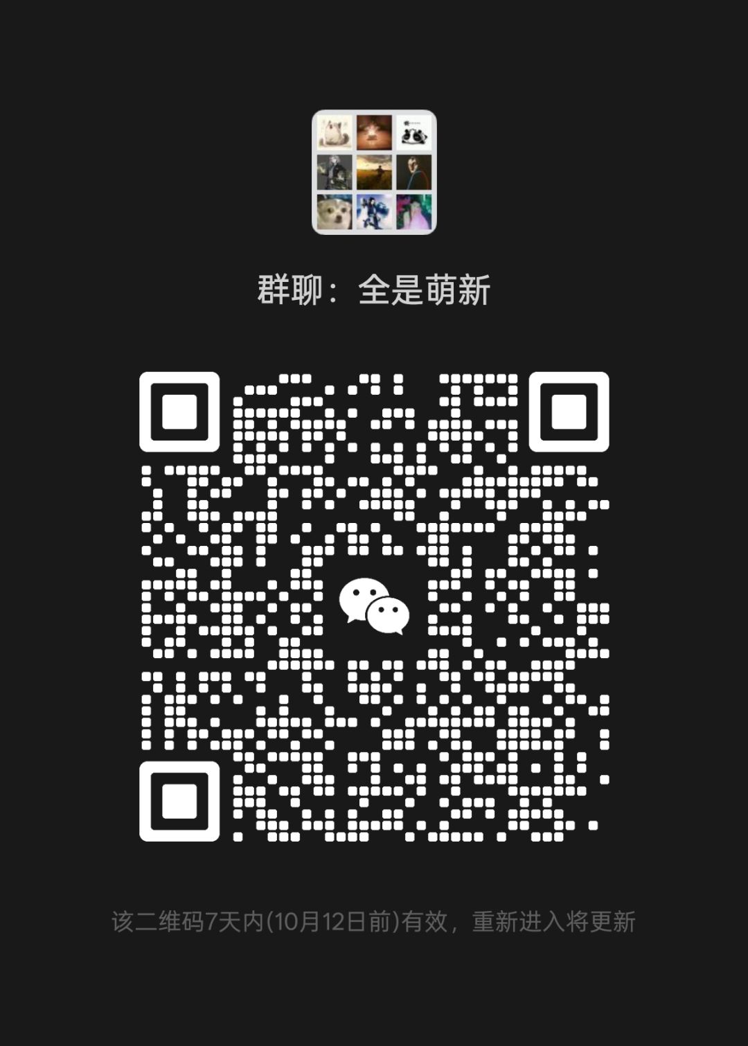 萌新群来人 1