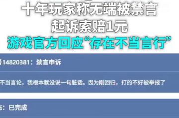 《守望先锋》十年老玩家起诉网易：不满“莫须有”禁言索赔一元