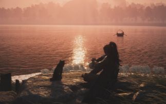 梨花树下，有猫有酒，足矣！