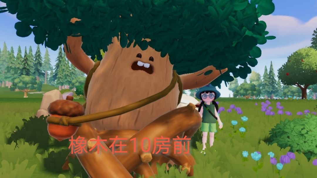 心动小镇1月10号 2