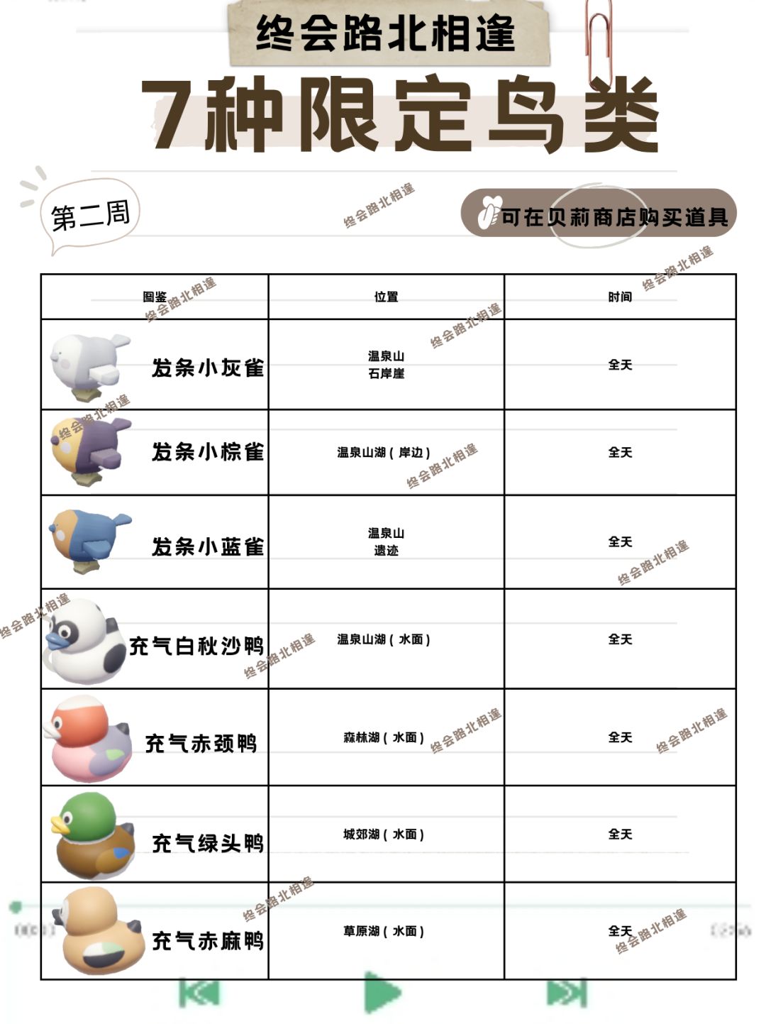 稚趣园第二周更新内容汇总,只看这一篇即可 2