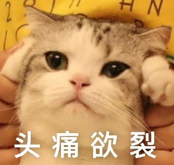 肉肉周报2.0——碎碎念第46期·没能挺进决赛圈