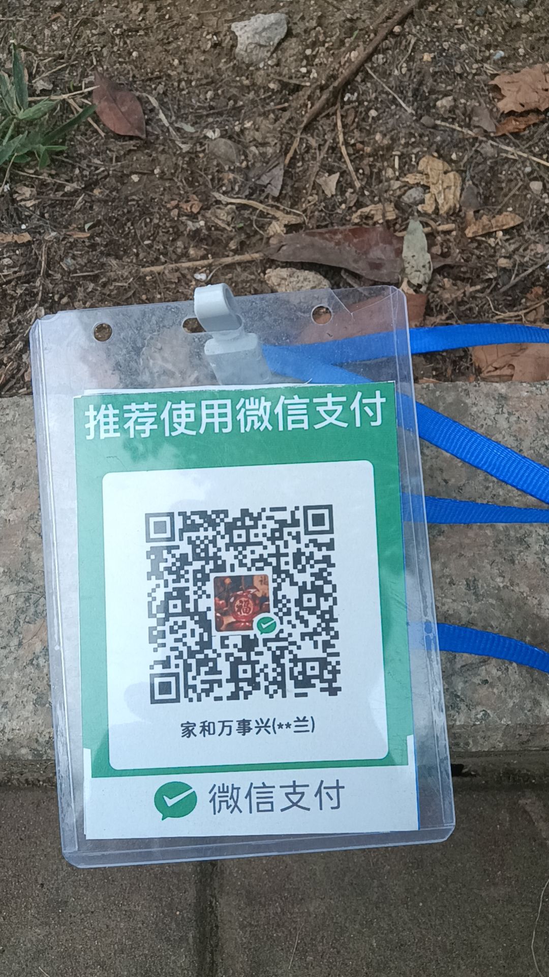 动态图片 15