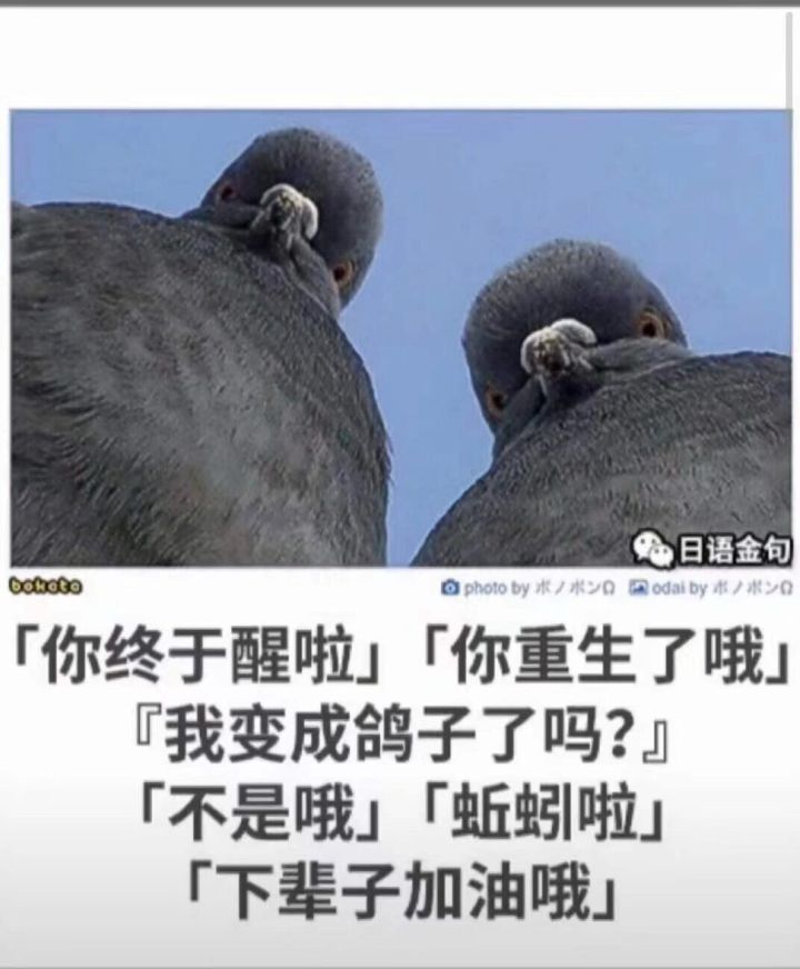 目前游玩两天之后遇到的游戏体验问题截图