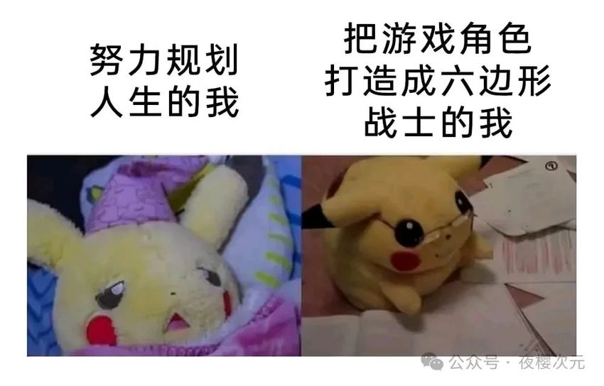 今日份梗图分享 1