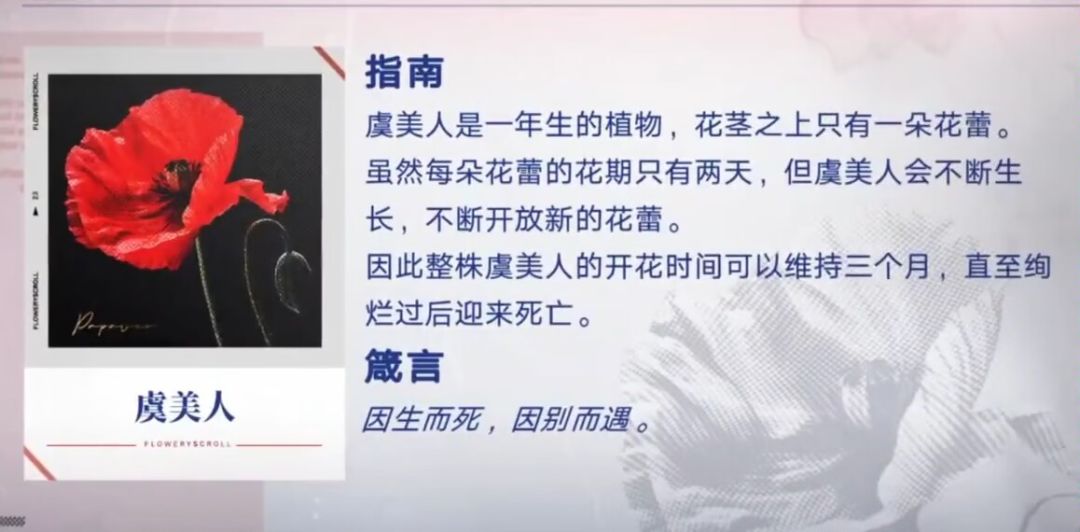 花期只有3个月 2