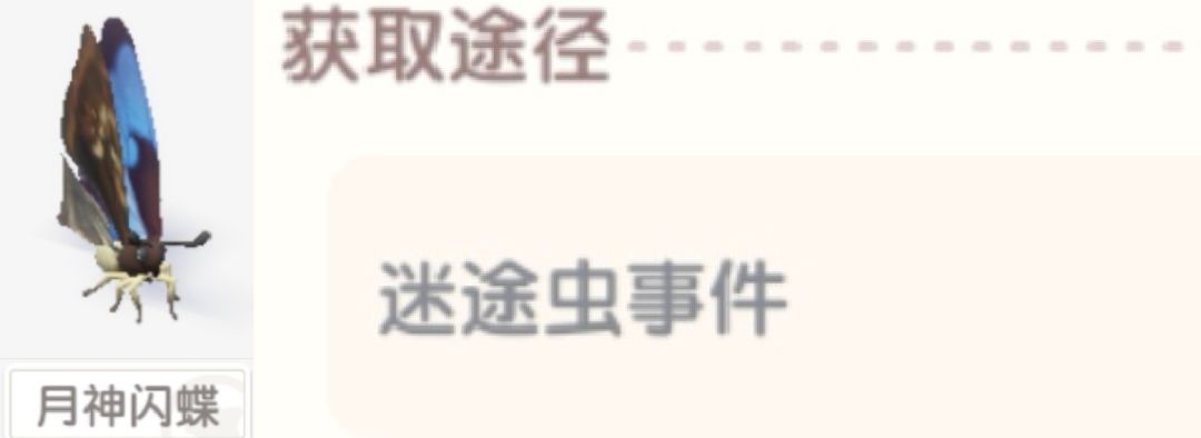 【心动小镇寻鲸季限定虫类图鉴】 4