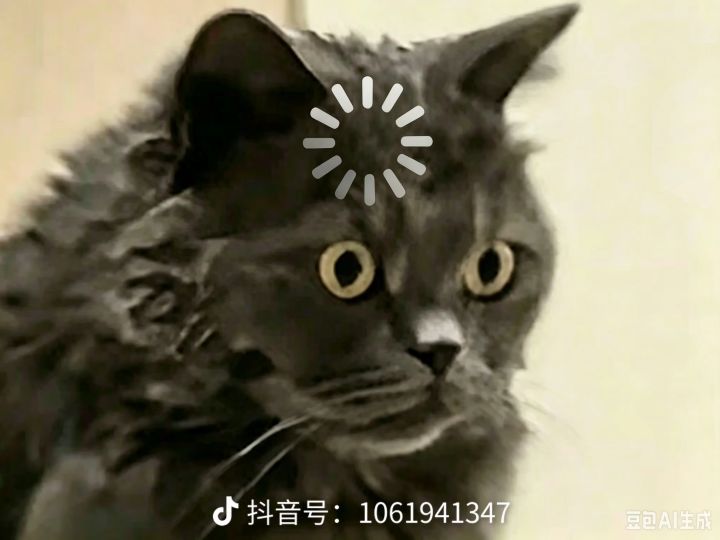 玩的我快炸裂了截图