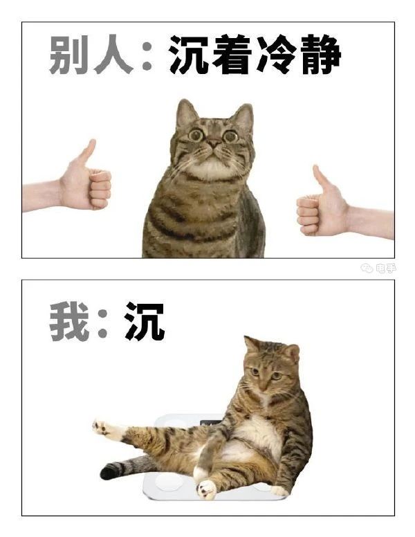 原神交流Q裙纳新 3
