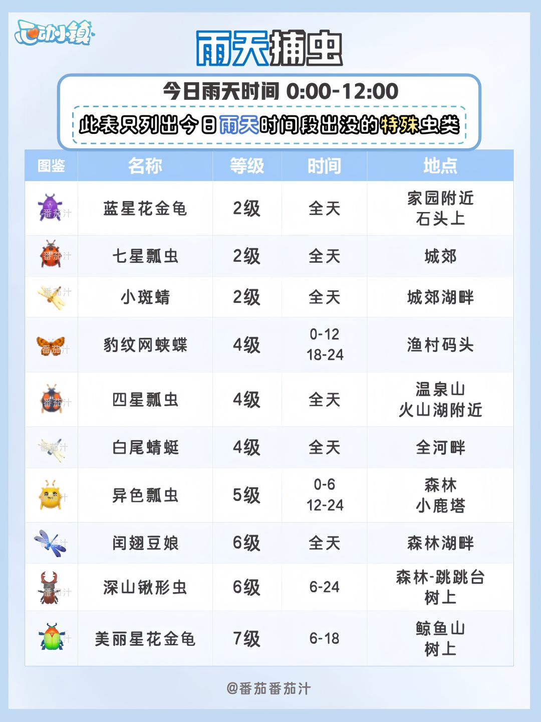 9月1日 下雨天必做攻略 5星彩光鸟 4