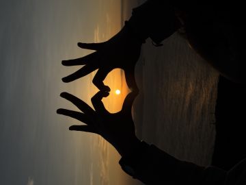 出货箱刷新机制改变种菜