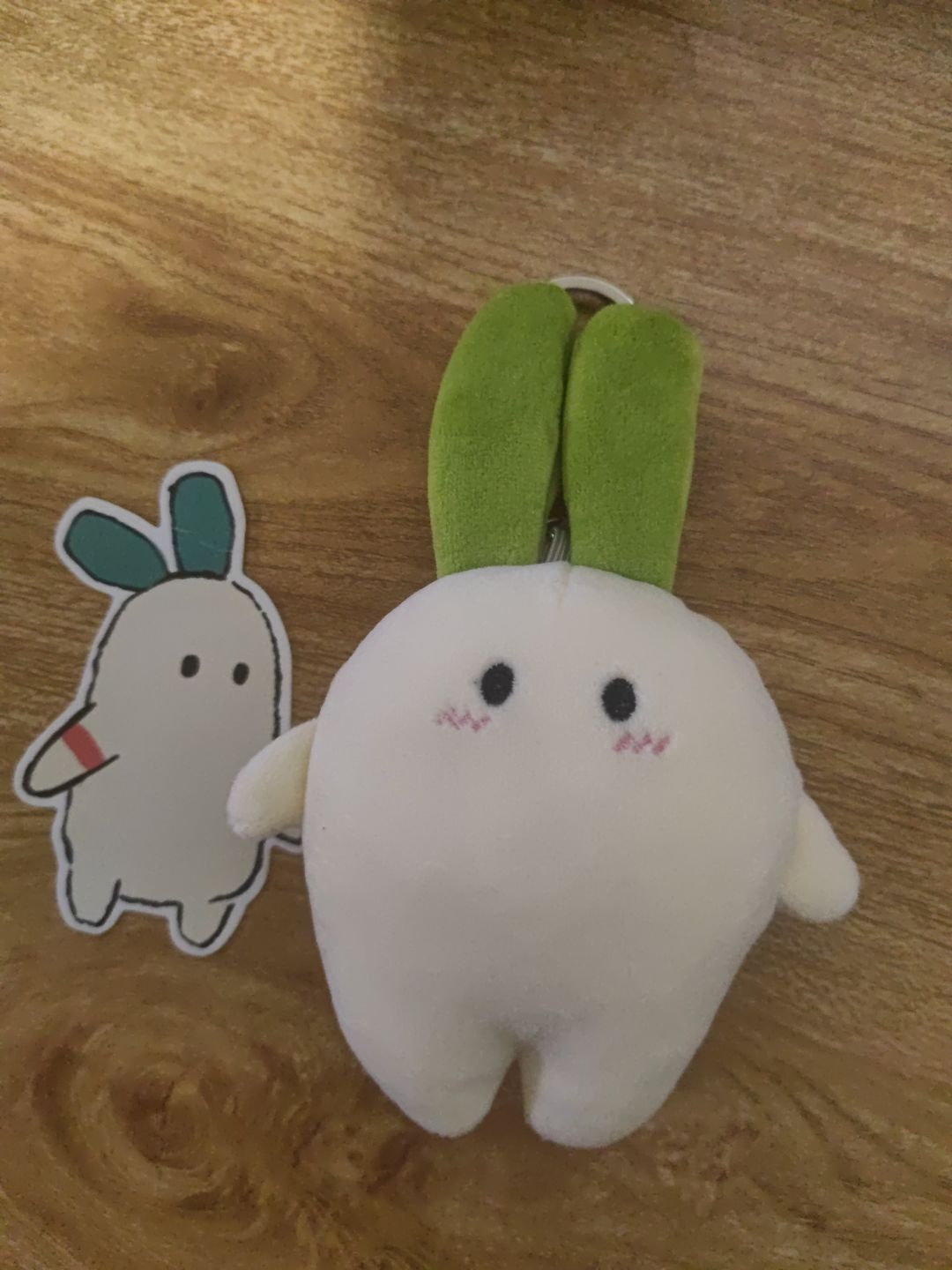 收到了!可爱的小萝卜! 3
