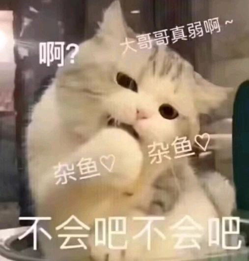 春天收集一览 1
