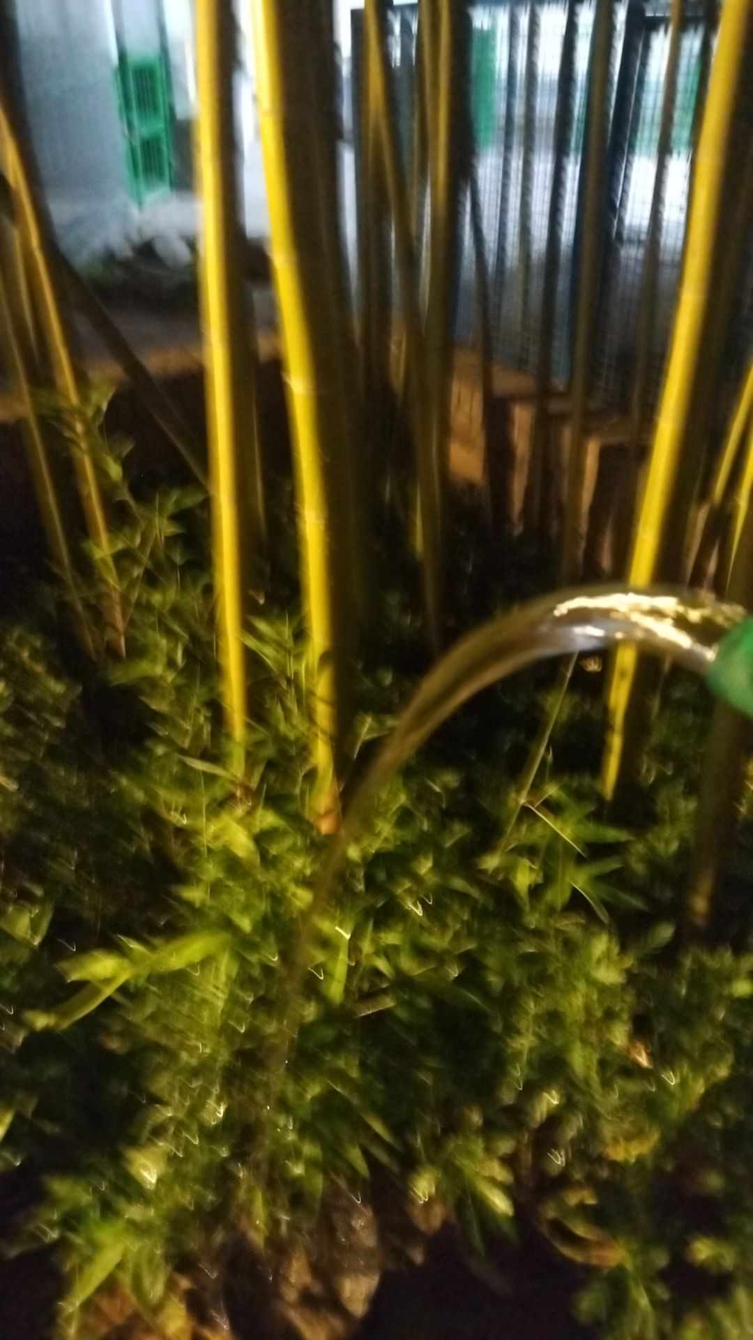 动态图片 7