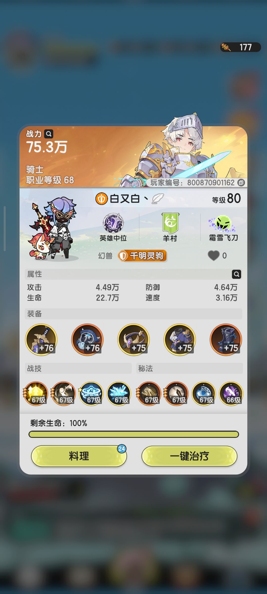 新人骑士,求指导 1