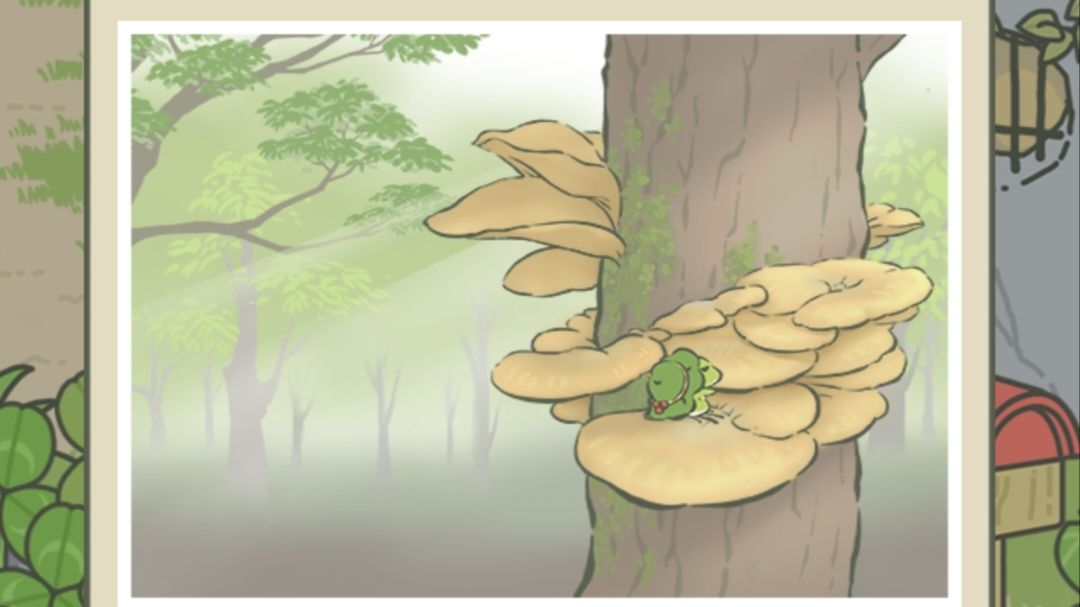 蛙去了好多地方啊。 2