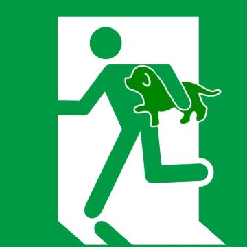 白菜被收编设想