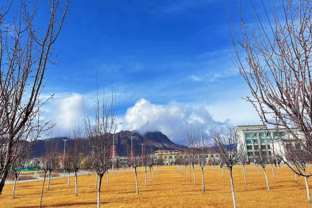 兄弟们新区什么时候开啊 1