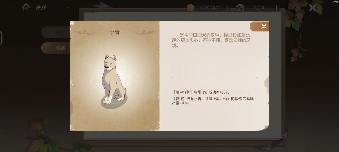 一些关于宠物的提问 3