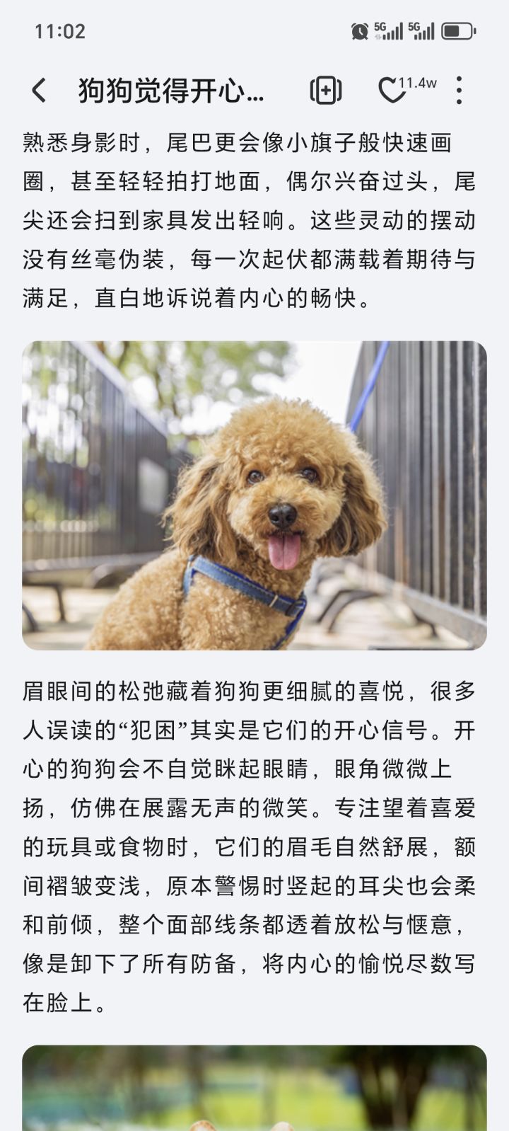 精彩截图分享 2026-10-1截图