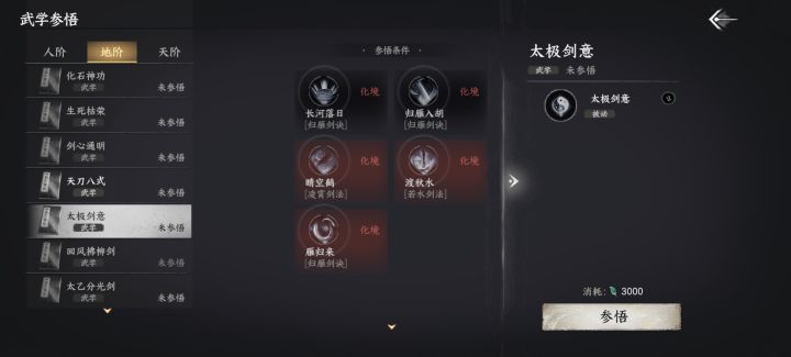 想问下我的太极剑意为啥不能参悟截图