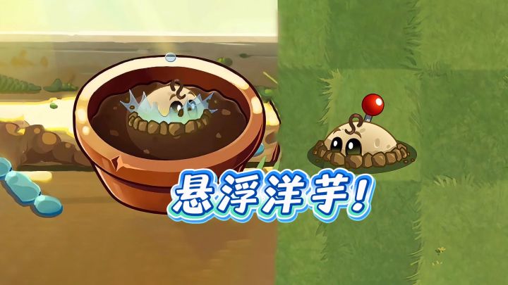 新版本终于更新了,看看这次的新植物悬浮洋芋!截图
