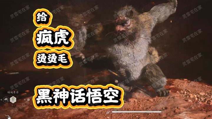给疯虎烫烫毛【黑神话悟空】截图