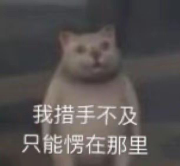 新副本尾王请教截图