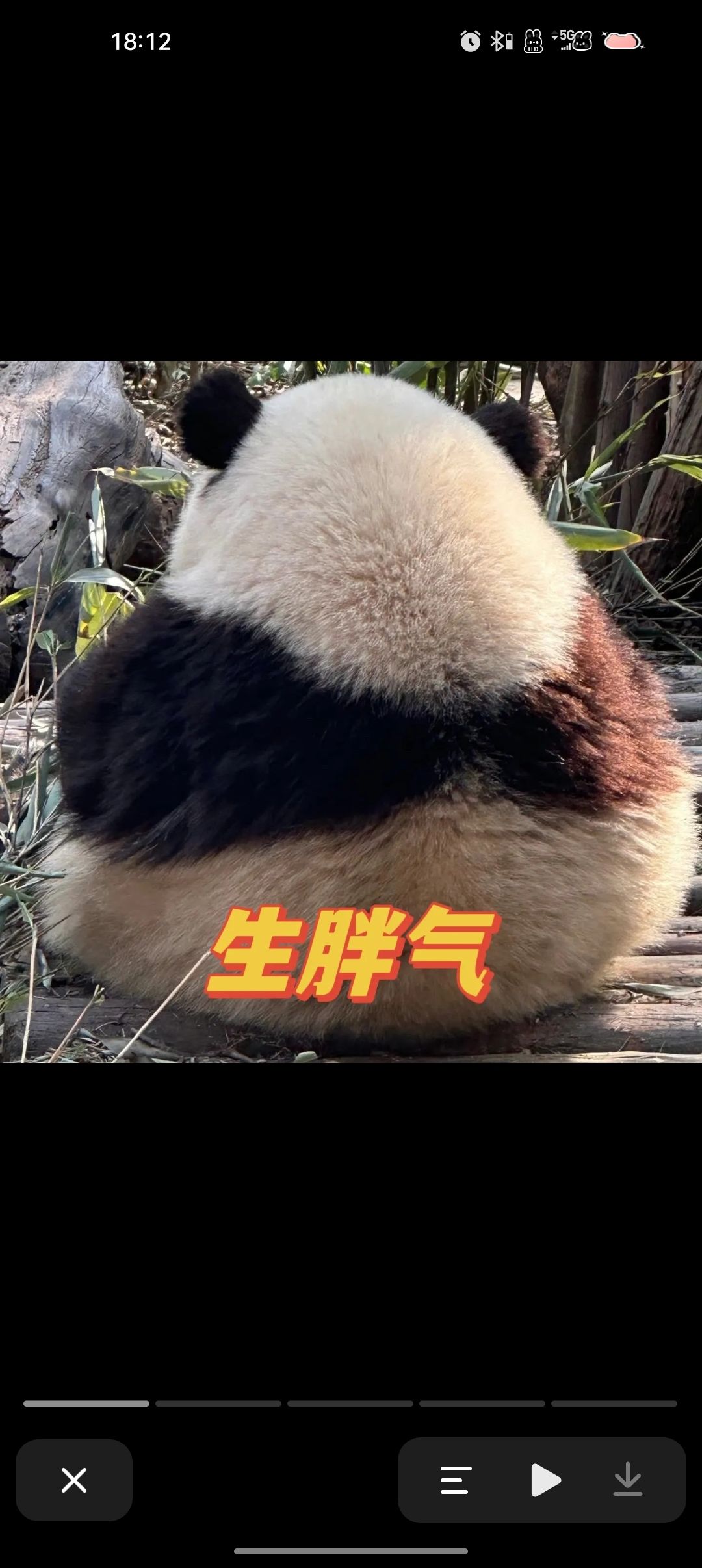 哈哈哈,笑死!!! 3
