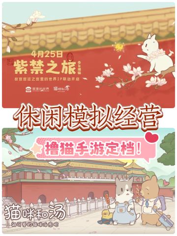 当我拥有了帮我007打工的猫猫！太幸福啦！