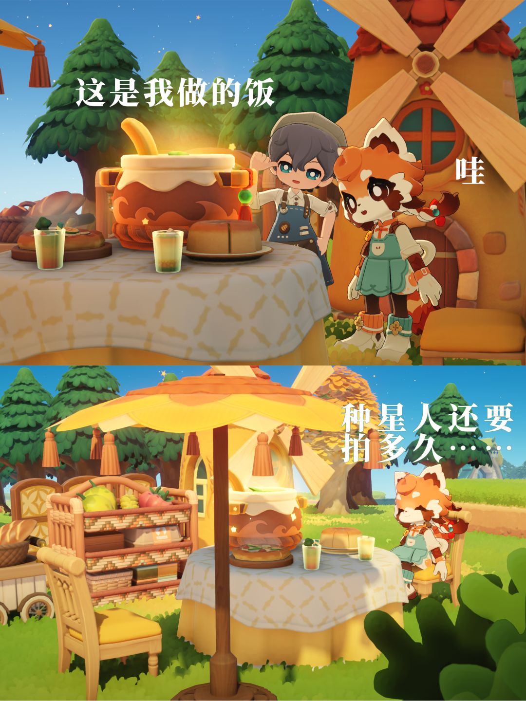 户外餐桌小景 2