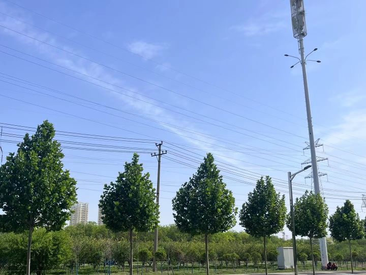假日分享-第一天截图