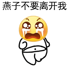 这次定向,是抽金桂好还是抽刺灰好? 1