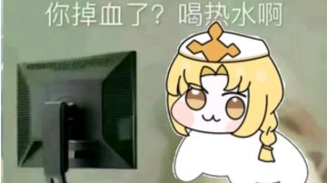 （搬运）六代猫包攻略（原文为纯奶养成）