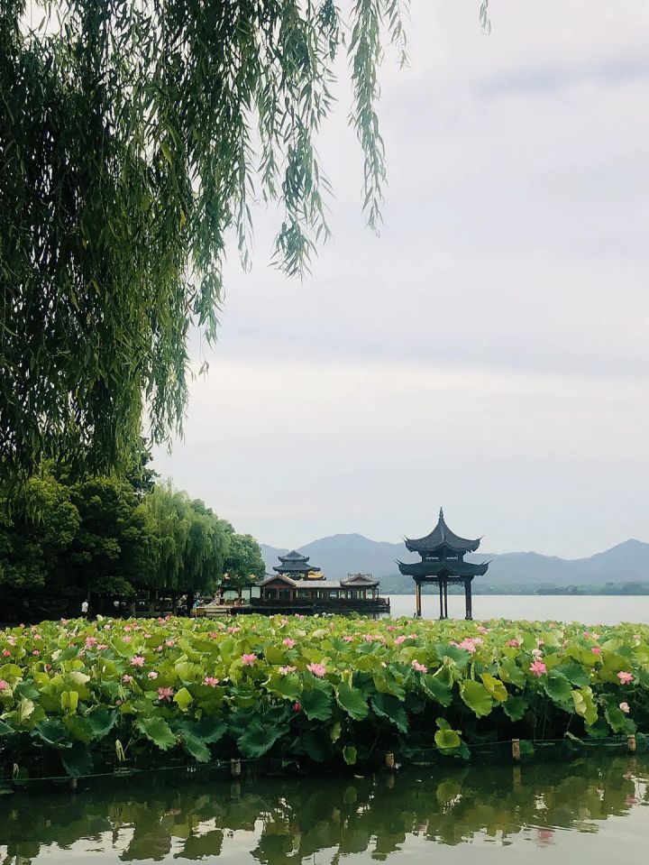 景点分享-西湖截图