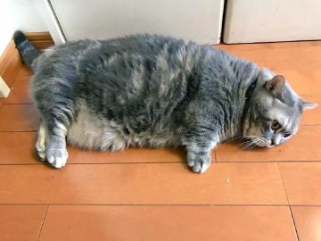 同学们……悠着点好么……